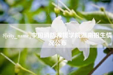 项城中国消防救援学院湖南招生情况公布