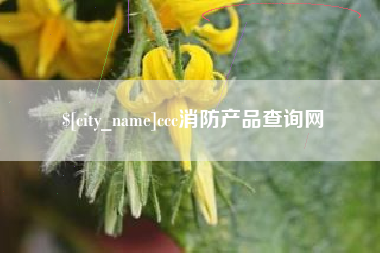 项城ccc消防产品查询网