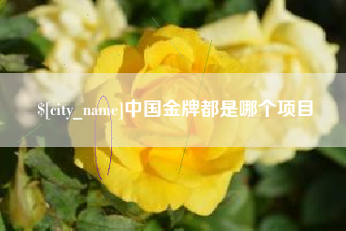 项城中国金牌都是哪个项目