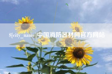 项城中国消防器材网官方网站