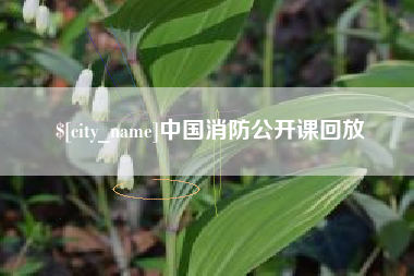 项城中国消防公开课回放