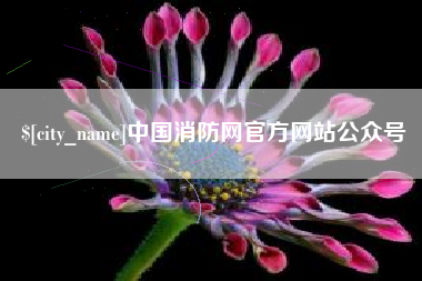 项城中国消防网官方网站公众号