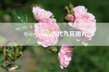 项城古代九宫图片