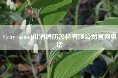 项城川消消防器材有限公司官网电话