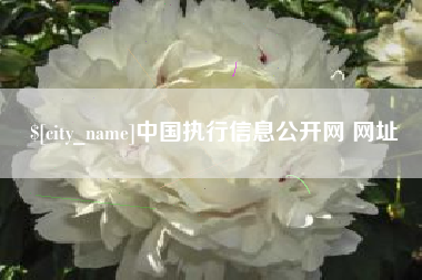 项城中国执行信息公开网 网址