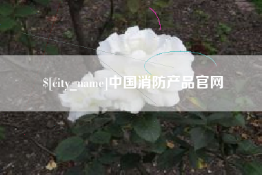 项城中国消防产品官网