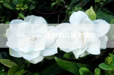 项城中国的几块金牌2021