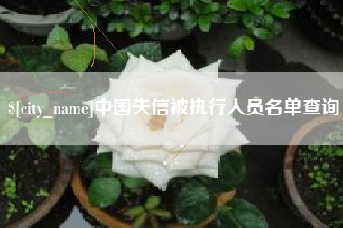 项城中国失信被执行人员名单查询