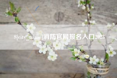 项城消防官网报名入口2023