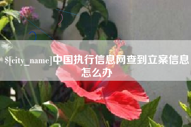 项城中国执行信息网查到立案信息怎么办