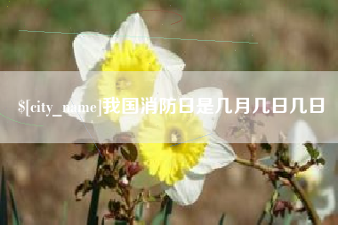 项城我国消防日是几月几日几日