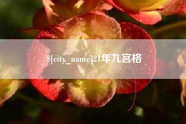 项城21年九宫格