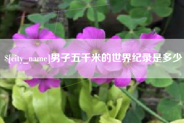 项城男子五千米的世界纪录是多少