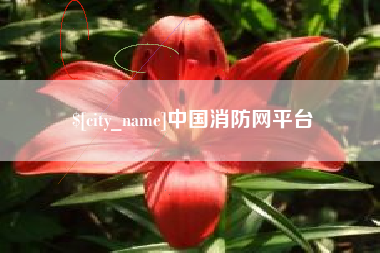 项城中国消防网平台