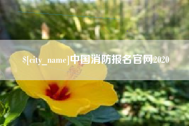 项城中国消防报名官网2020