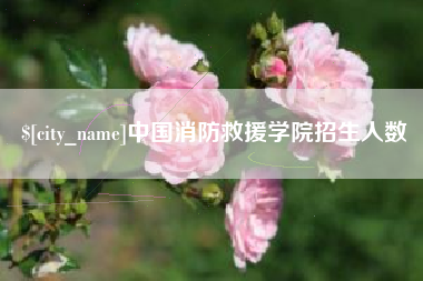 项城中国消防救援学院招生人数