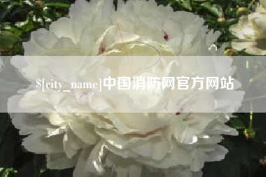 项城中国消防网官方网站