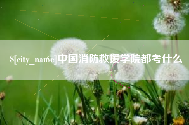 项城中国消防救援学院都考什么