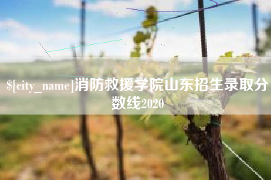项城消防救援学院山东招生录取分数线2020