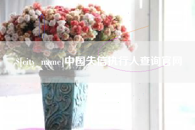 项城中国失信执行人查询官网