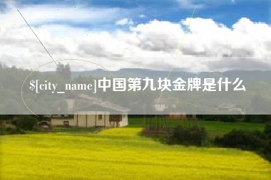 项城中国第九块金牌是什么