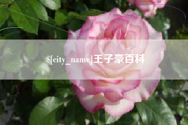 项城王子豪百科