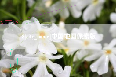 项城中国地图像素版