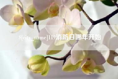 项城119消防日哪年开始