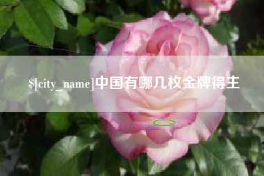 项城中国有哪几枚金牌得主