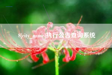 项城执行公告查询系统