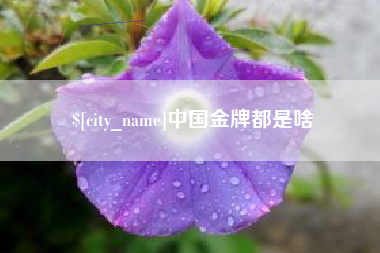 项城中国金牌都是啥