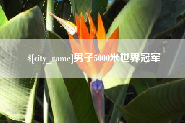 项城男子5000米世界冠军