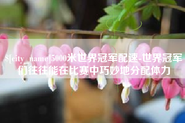 项城5000米世界冠军配速-世界冠军们往往能在比赛中巧妙地分配体力