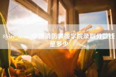 项城中国消防救援学院录取分数线是多少