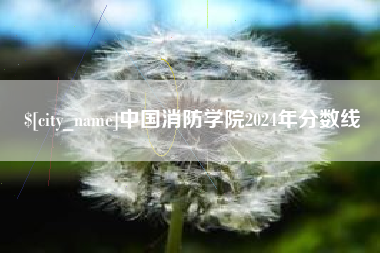 项城中国消防学院2024年分数线