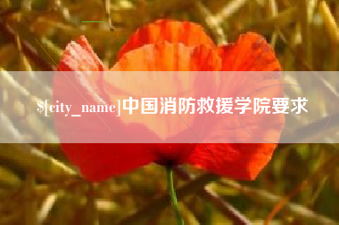 项城中国消防救援学院要求