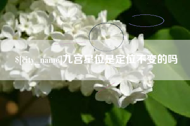 项城九宫星位是定位不变的吗