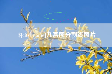 项城九宫图分割线图片