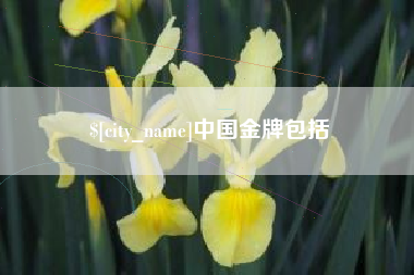项城中国金牌包括