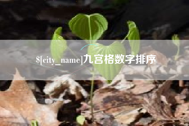 项城九宫格数字排序