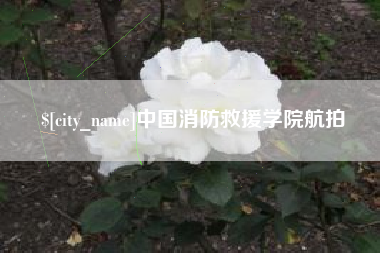 项城中国消防救援学院航拍