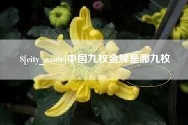 项城中国九枚金牌是哪九枚