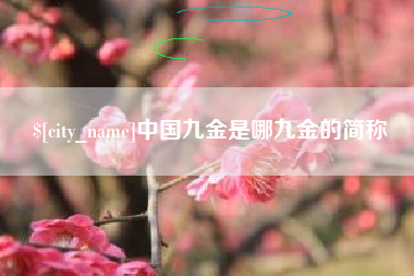 项城中国九金是哪九金的简称