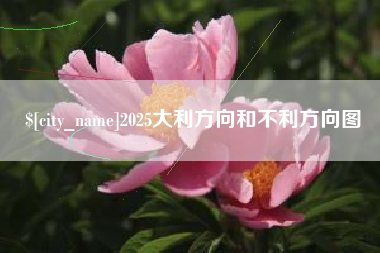 项城2025大利方向和不利方向图