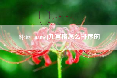 项城九宫格怎么排序的