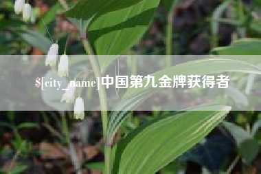 项城中国第九金牌获得者