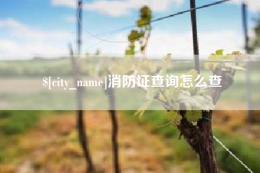 项城消防证查询怎么查