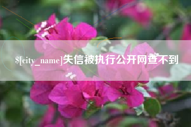 项城失信被执行公开网查不到
