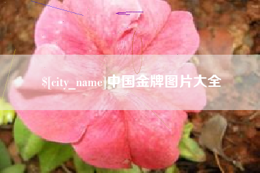 项城中国金牌图片大全