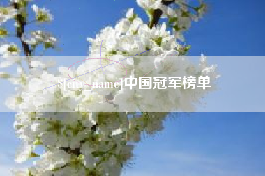 项城中国冠军榜单